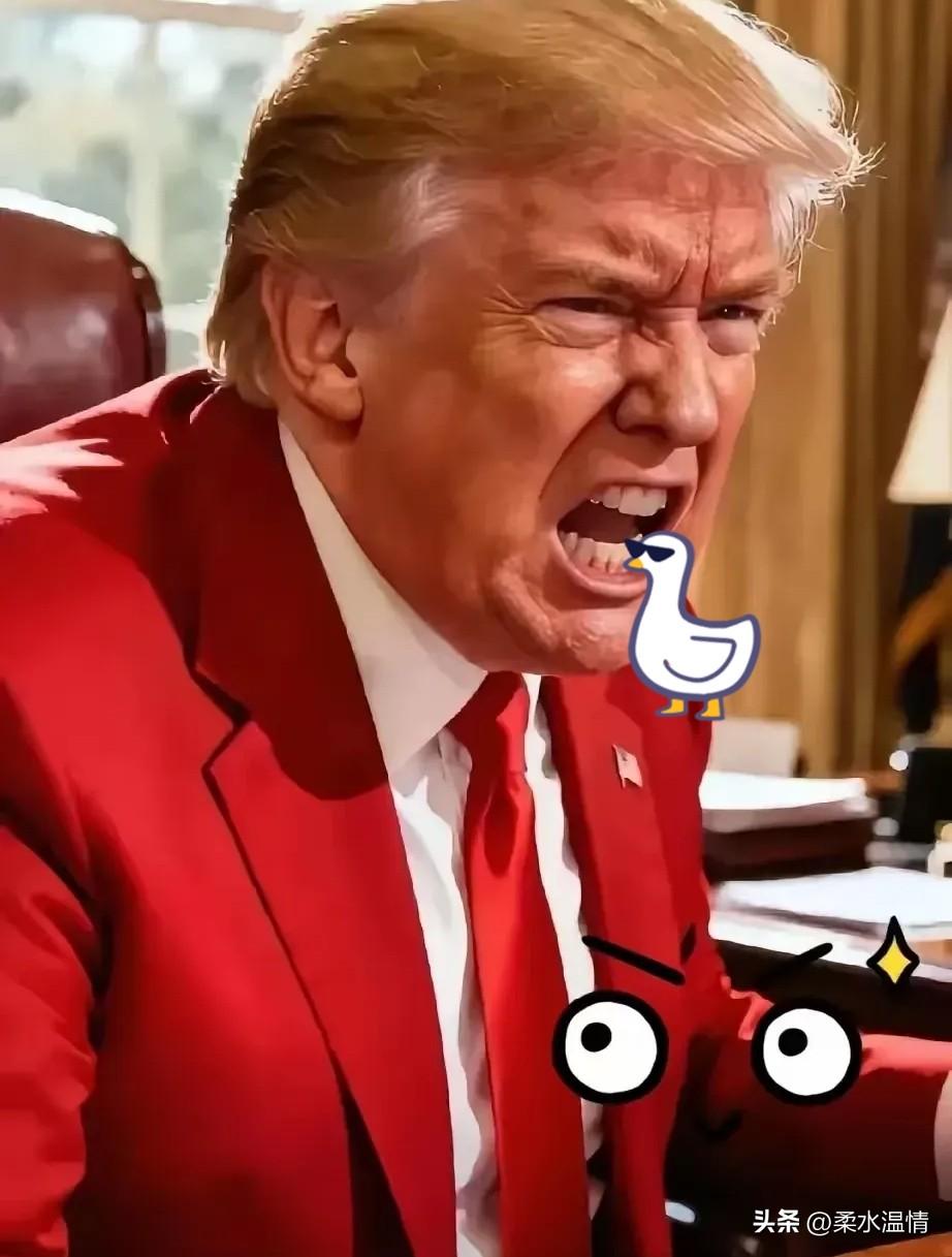 当地时间11月19日，美国能源部幕僚长卡尔·科透露，特朗普下周将在白宫签署文件正