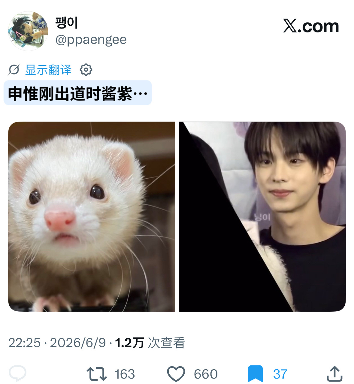 识图都没有pcm会找有意义貂图