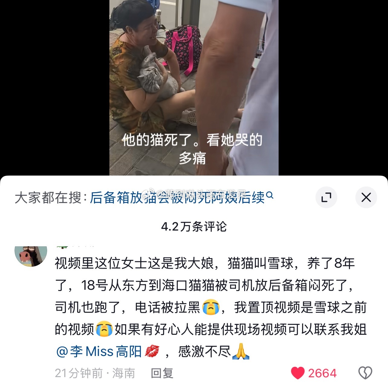 天呐，看到这种好心疼啊😭 