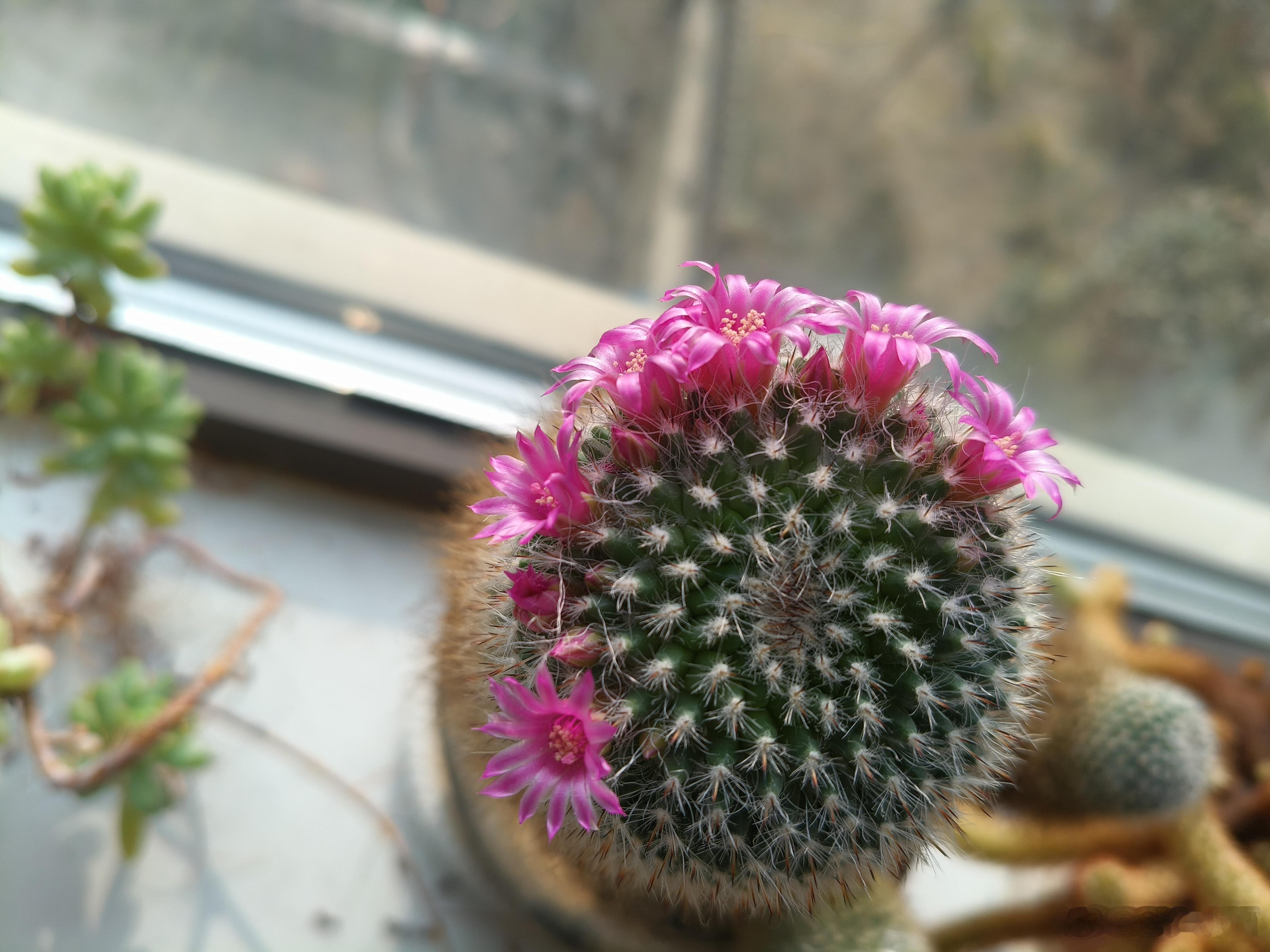 不要轻视自己发出的光，说不定会照亮谁的天空，而那些天空，都因你的存在，而无比明亮