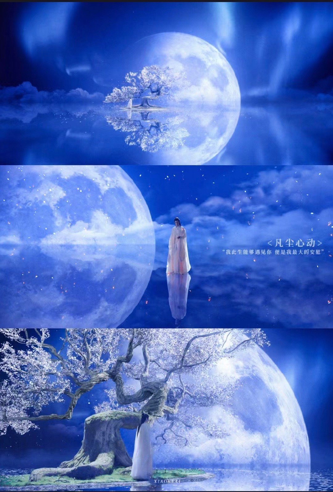 ♡⃝ 𝒍𝒐𝒗𝒆 ʚɞ ☽⋆❥ »» 肖战 你的笑，是我每天的阳光，温暖而