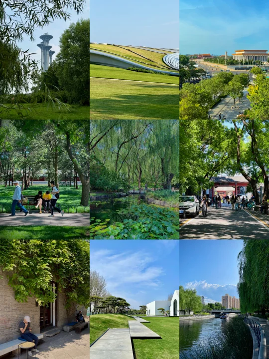 我在北京，收集了一整个夏天的绿🍃