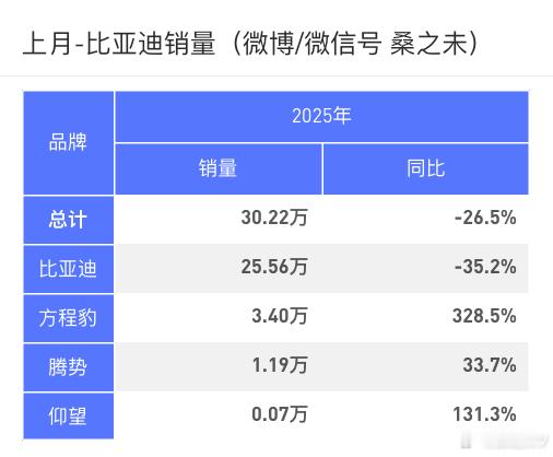 比亚迪11月销量同比下滑，新车型策略驱动部分品牌增长据数据显示，2025年11月