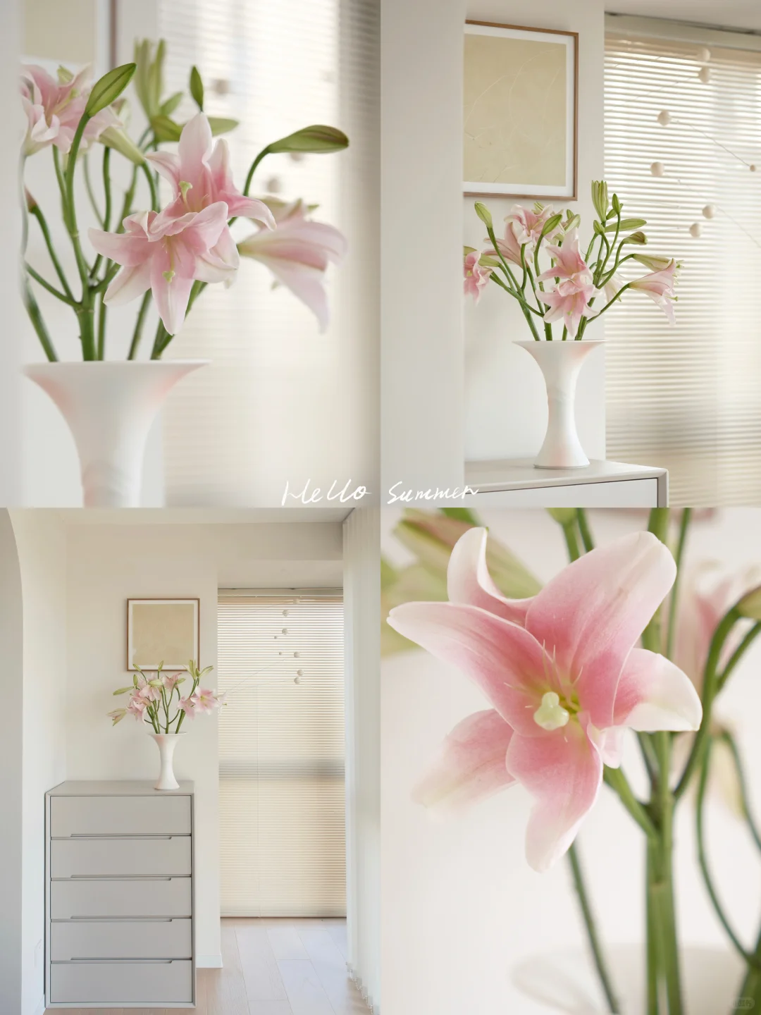 𝑨𝒃𝒐𝒖𝒕 𝒔𝒖𝒎𝒎𝒆𝒓 | 用鲜花点缀生活