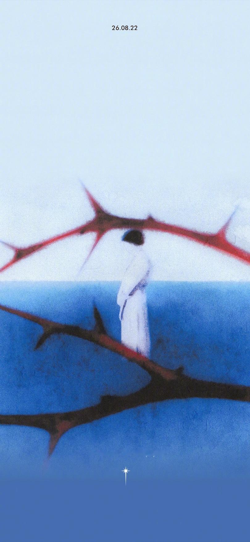 视觉审美 