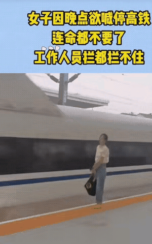这个女子，看样子精神很正常，脑子没有问题呀，他怎么做出这么没脑的事呢？他坐高铁为
