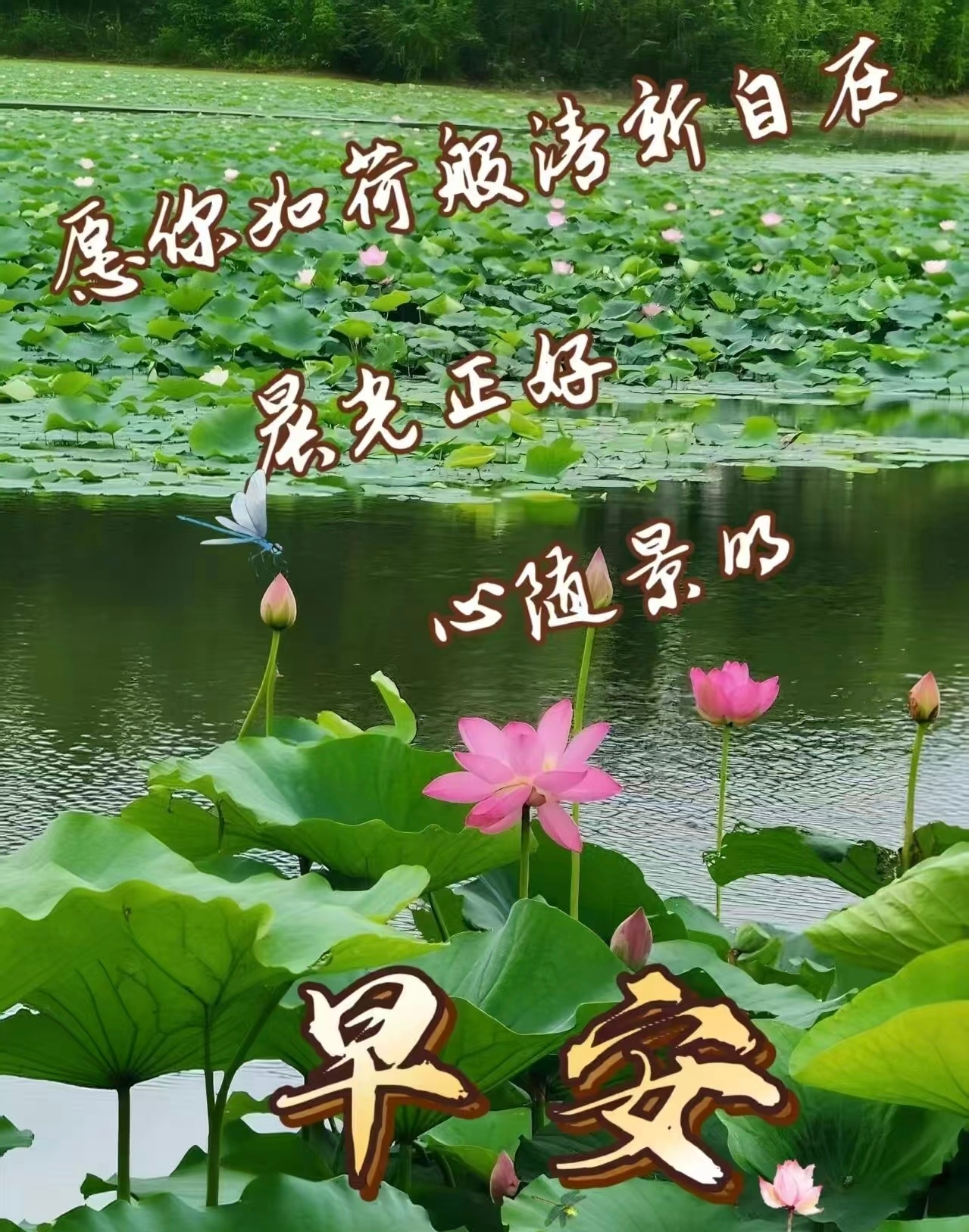 分享图片 