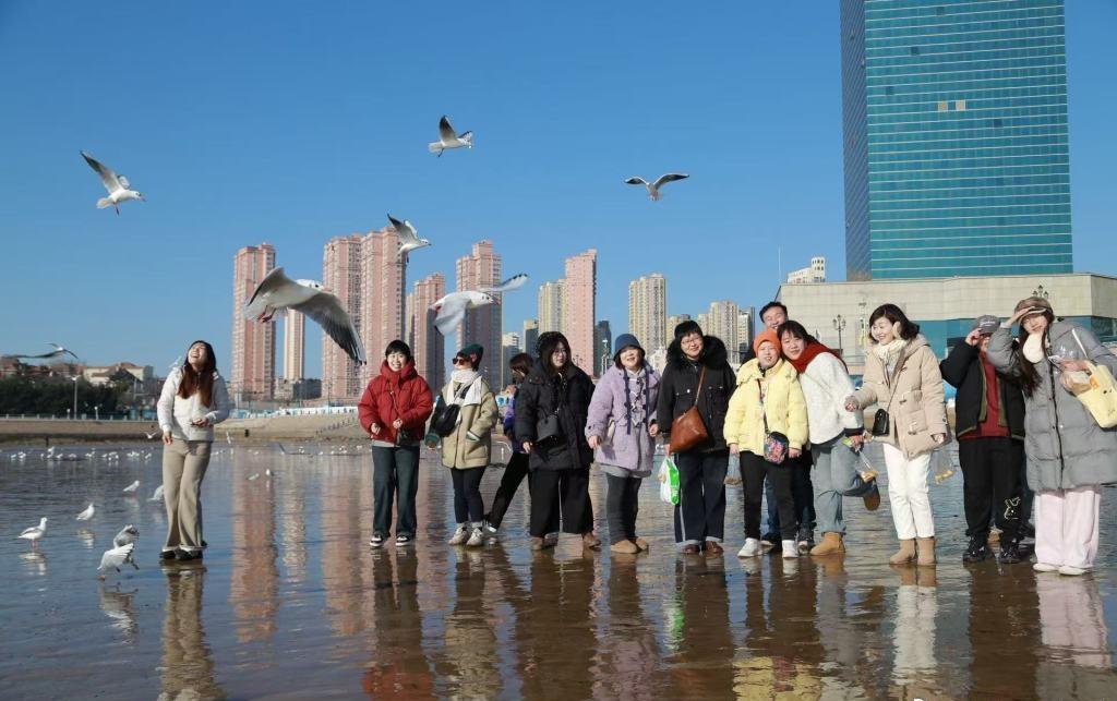 【鸥遇青岛 文明相伴丨青岛市市北区用实际行动绘就文明护鸥画卷】冬日渐深，青岛迎来