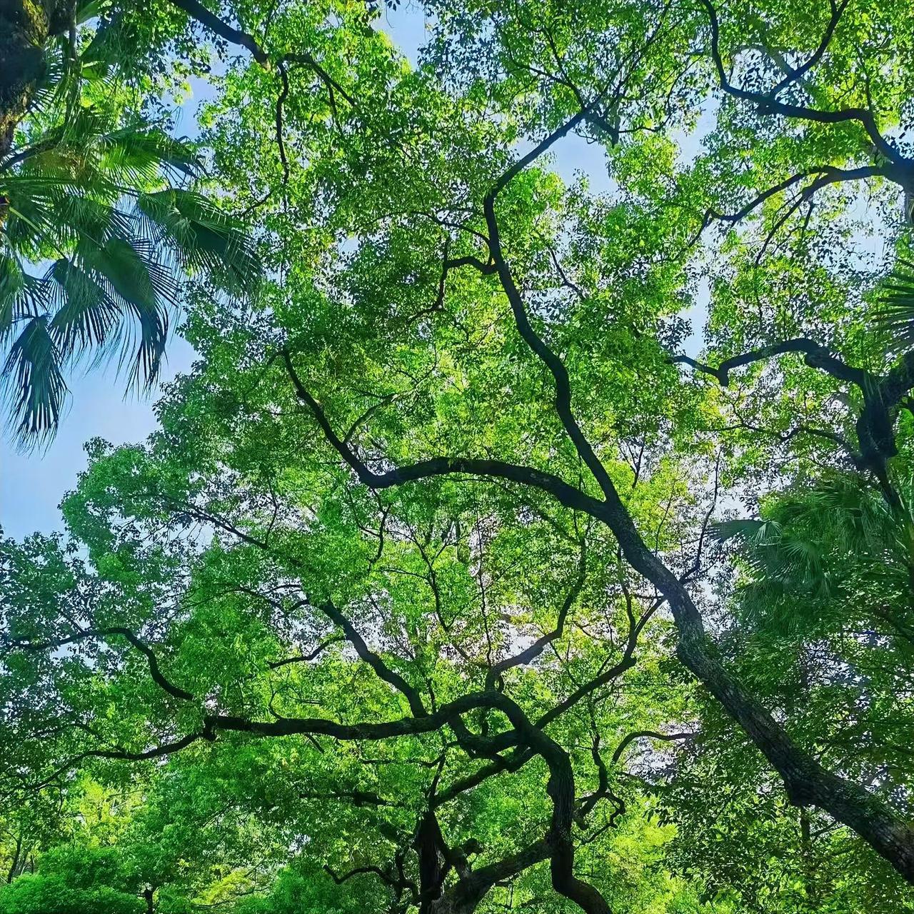 很喜欢一段话：和不同的人说不同的话，展现不一样的态度，这是成年人最可贵的能力，而