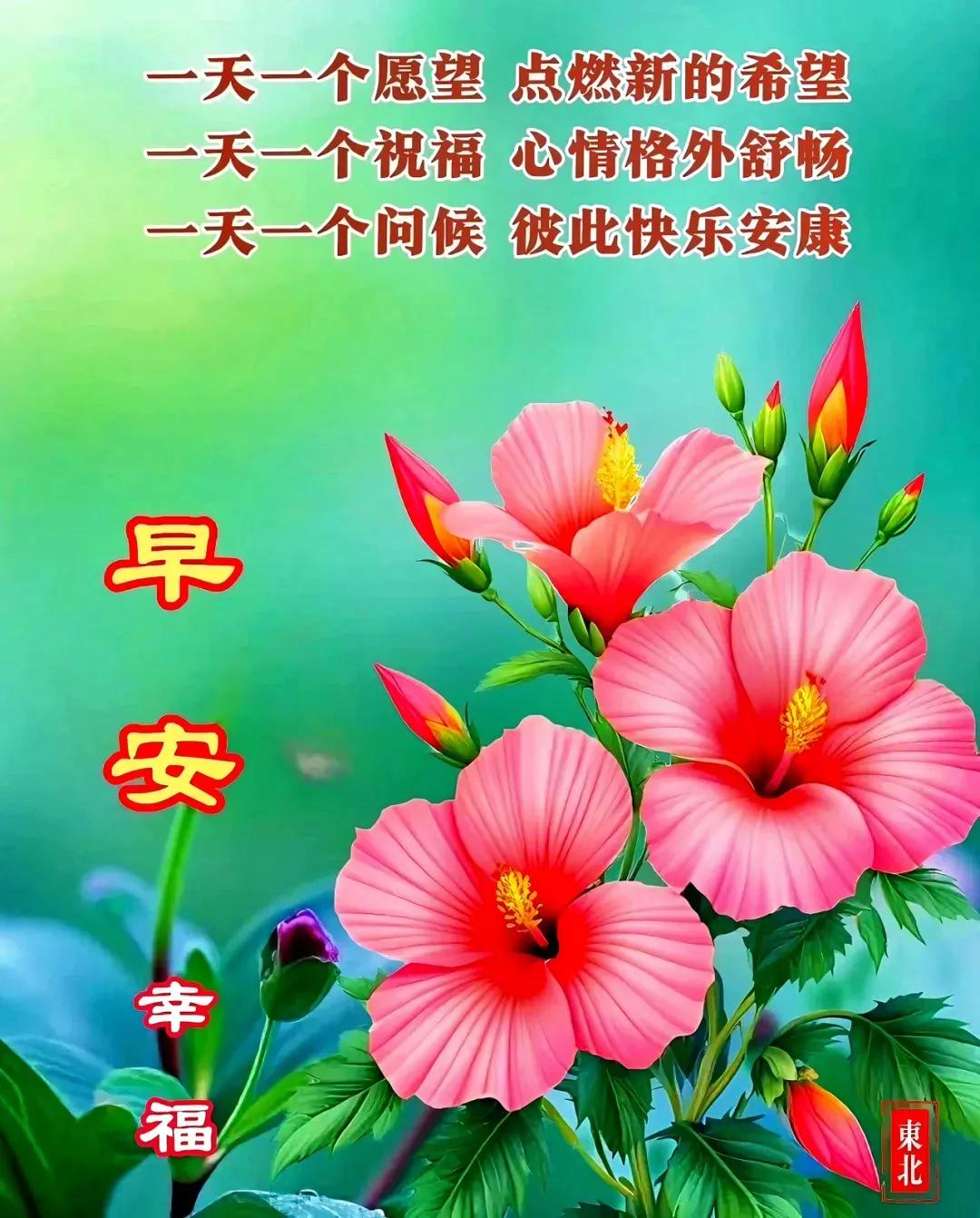 早安吉祥周末愉快
  2024年11月3日
   农历十月初三