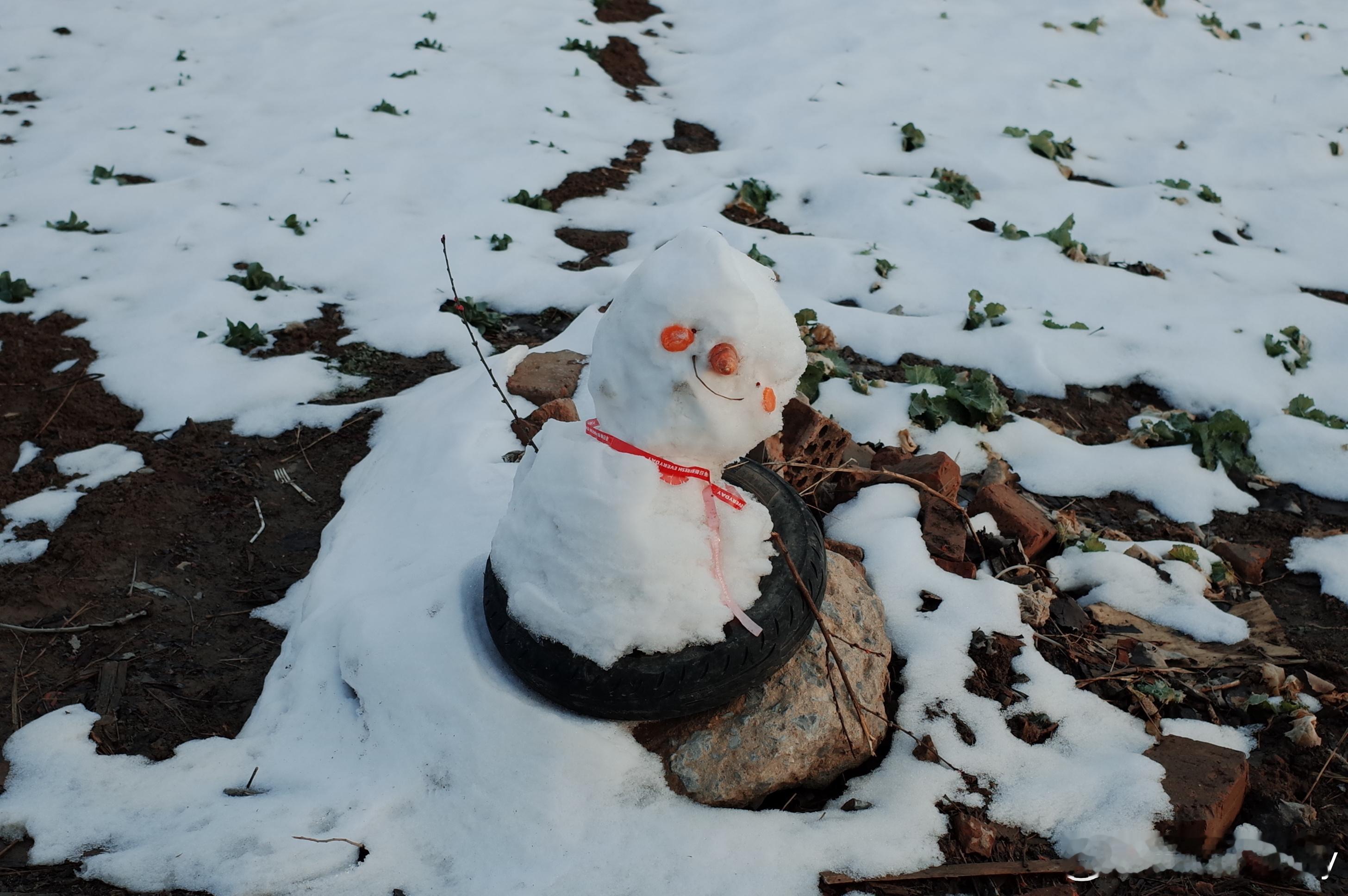 不知不觉 就走过四季⛄️🍃🍉🍓 