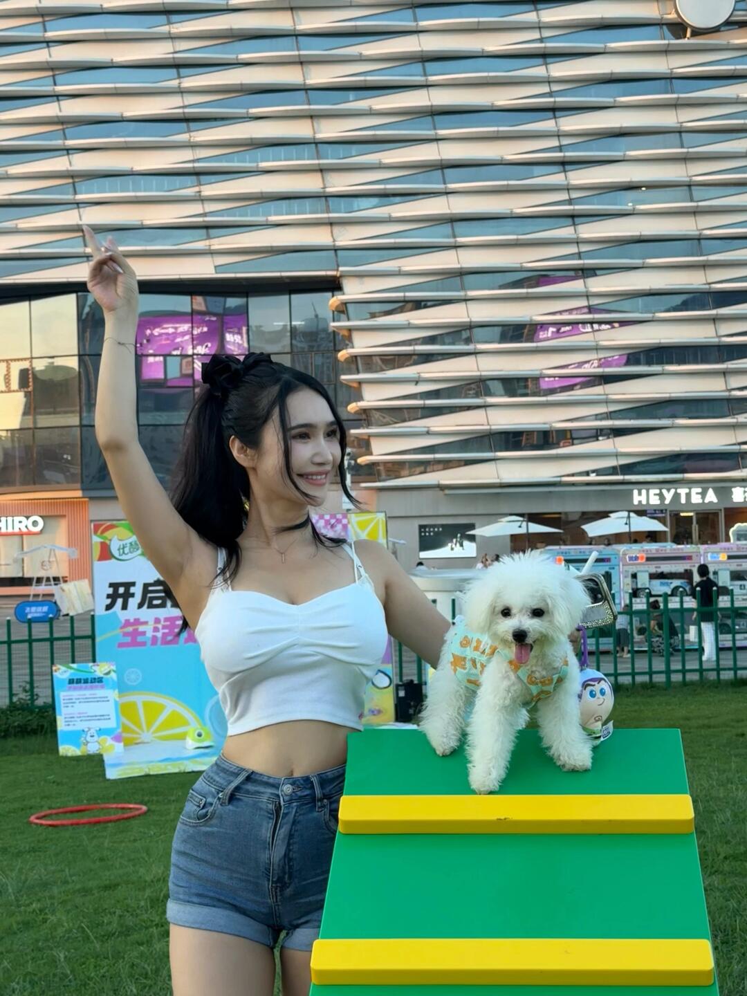 陪毛孩子玩耍的一天