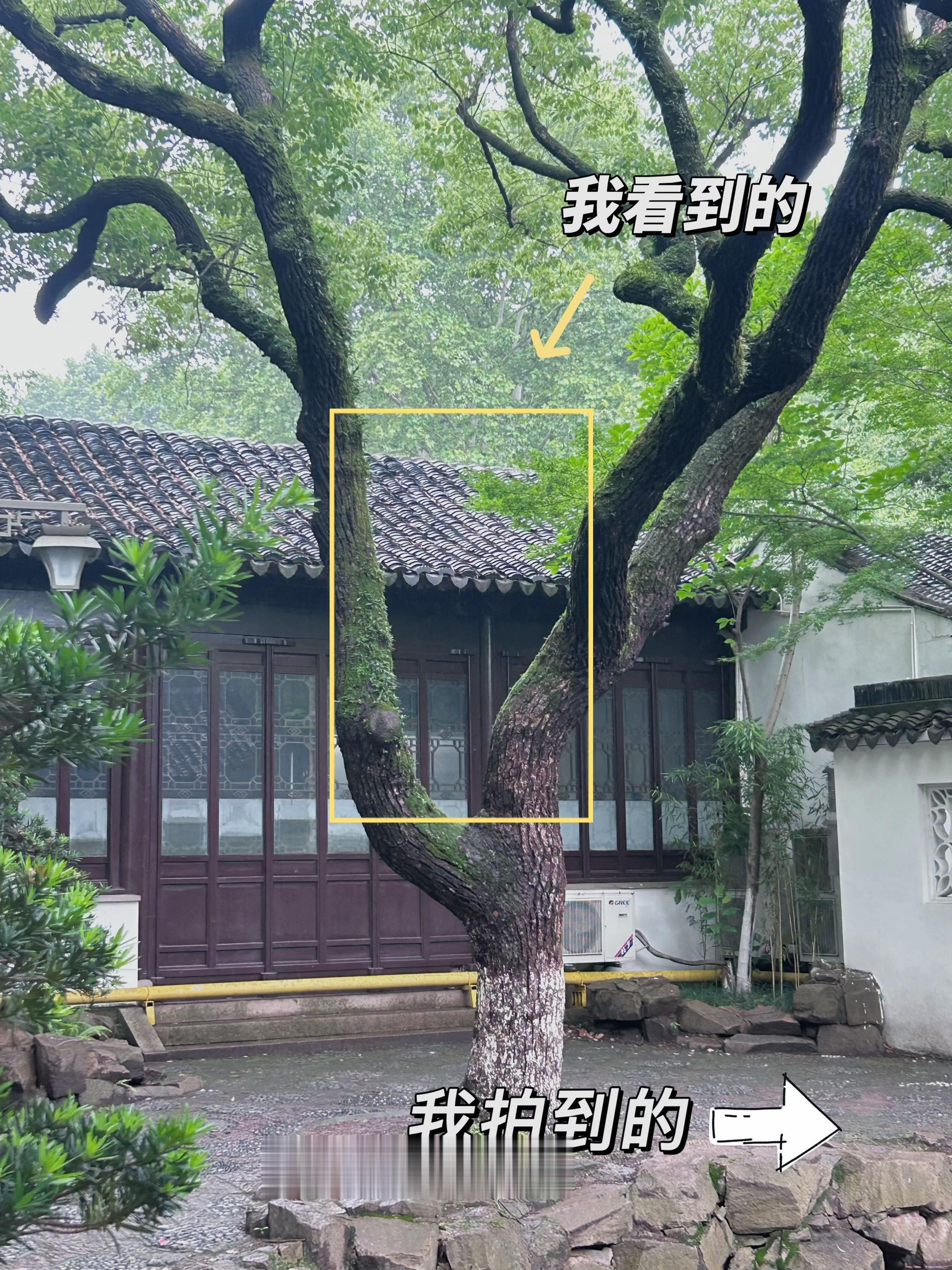 杭州墅园｜我看到的🆚我拍到的。下雨的杭州，有一种隐世秘境感。