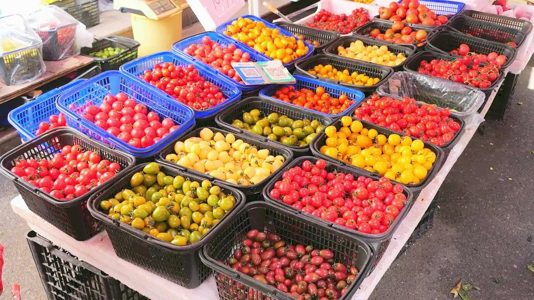 老祖宗留下来的识人术：

1、嘴馋的男人，一般都很懒。
2、家里很干净的人，大多