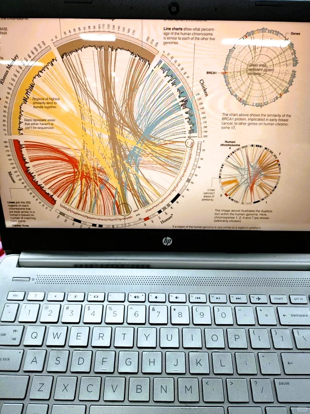 这个我愿称之为年度伟大发现