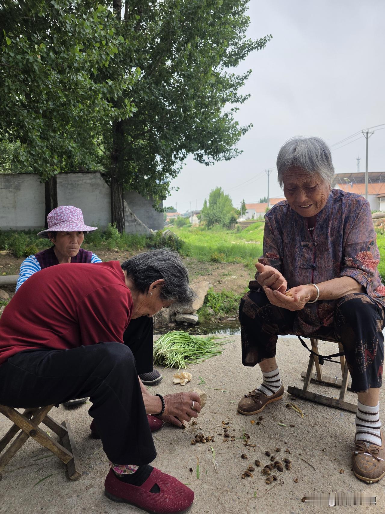 这么善良的农村老太太，我真的没见过……

十七八个老人，在桥头一聚，他们聊的不是