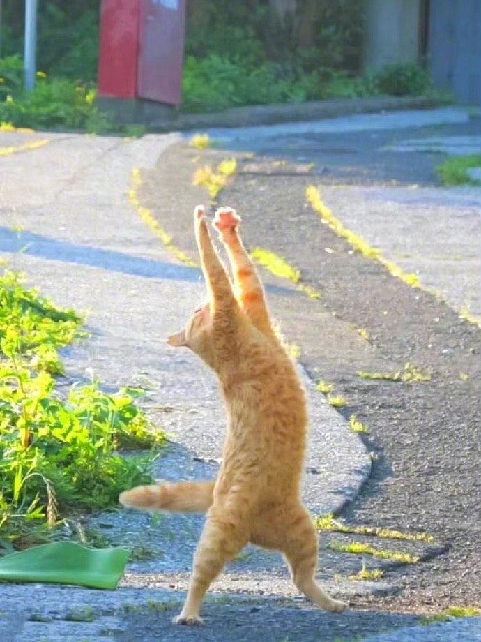 “ 生活明朗，万物可爱。”