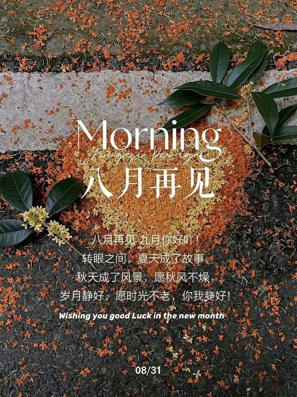 ²⁰²⁶/₀₈.₃₁ ᵕ̈ 时至八月末尾，新周悄然开启。
早安，愿新的一周平安顺