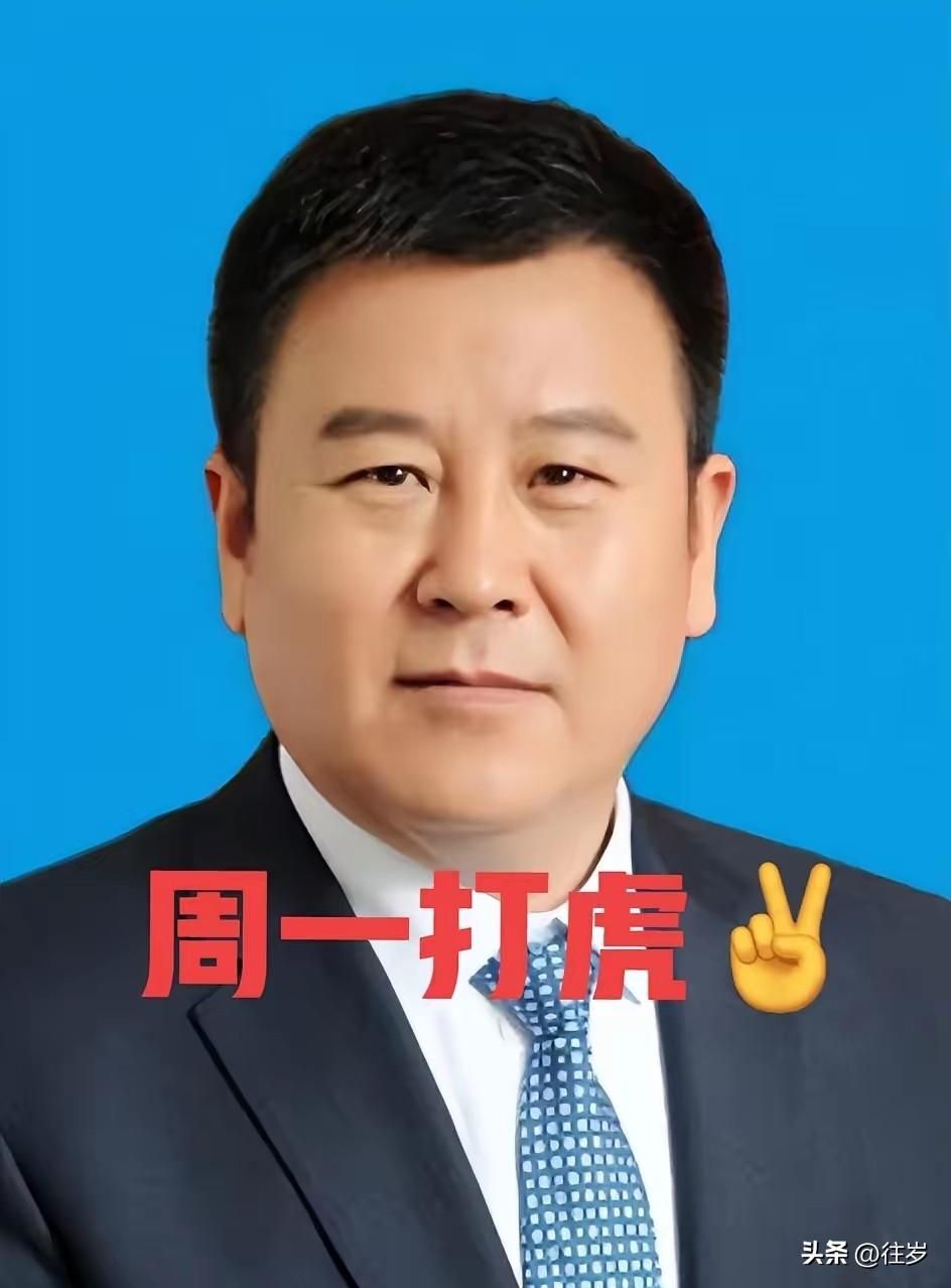 就在刚刚，看了“界面快讯”新闻，“芮文刚”被查，于是看了一下他的工作履历，57岁