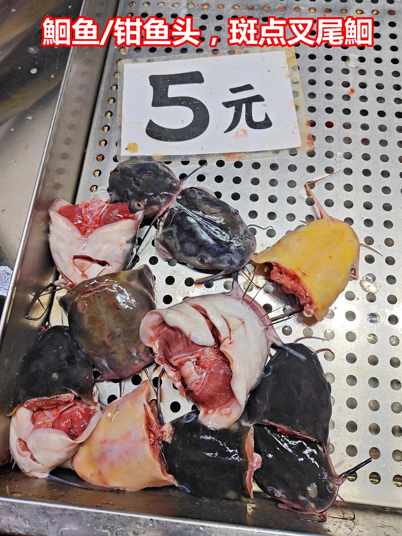 鮰鱼头，5元一斤，焖豆腐很好
水产 广州美食 鮰鱼