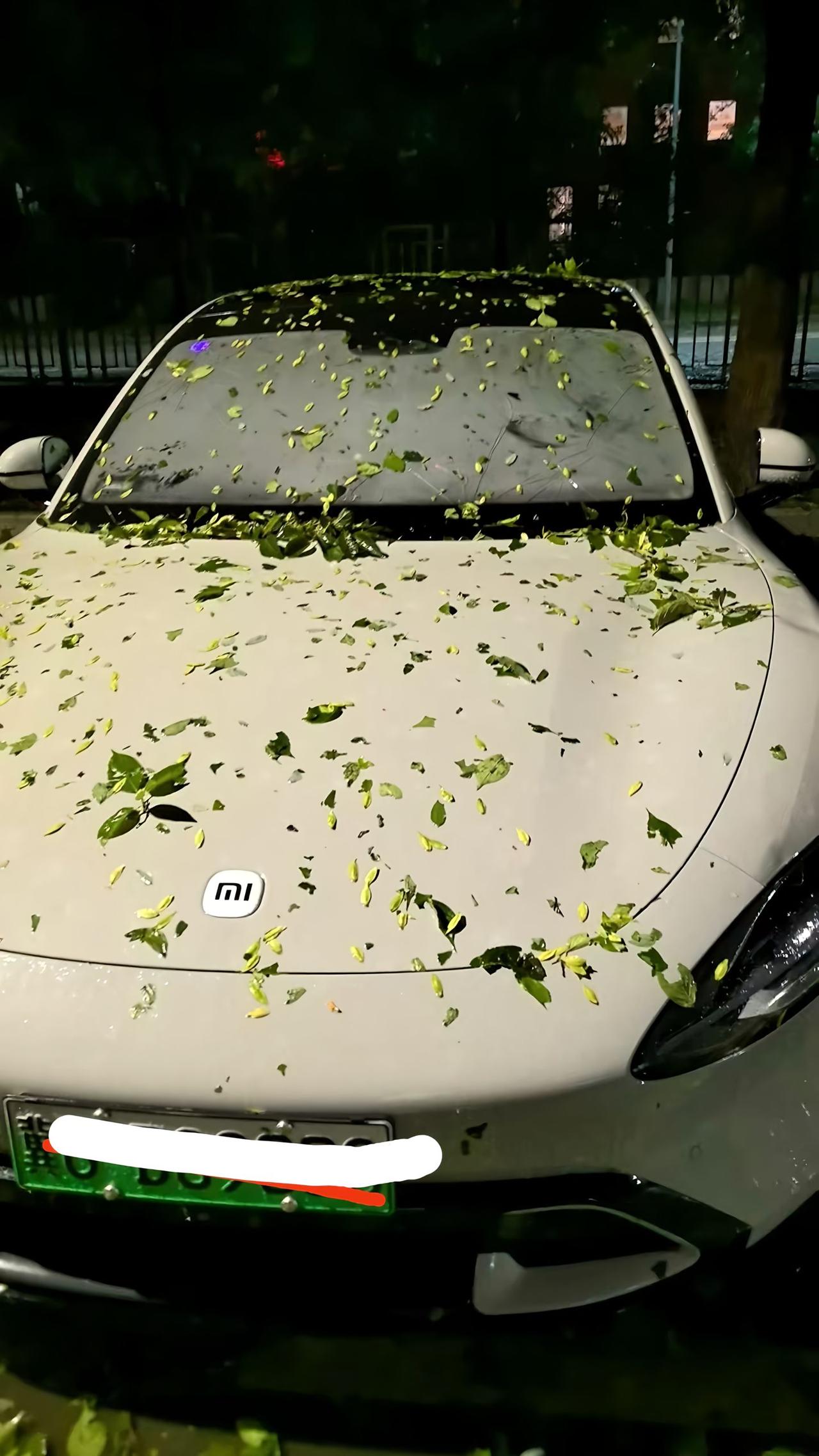 这台车，遭受了雹和式攻击！