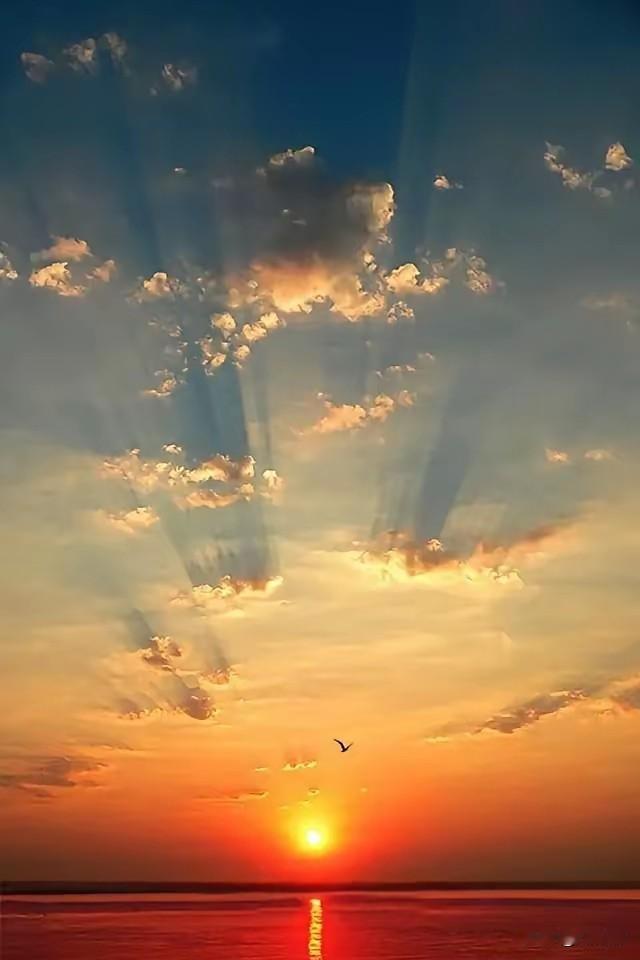 七律·直上青云
蛰伏经年志未休，
扶摇直上九千秋。
身随大壑风雷起，
影入长空星