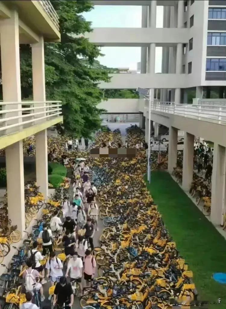 “这就是现在的大学生…”