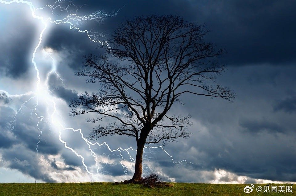 【油价动荡主导市场，美股美债企稳，全球央行"鹰派按兵不动"，黄金一度暴跌6%】罗