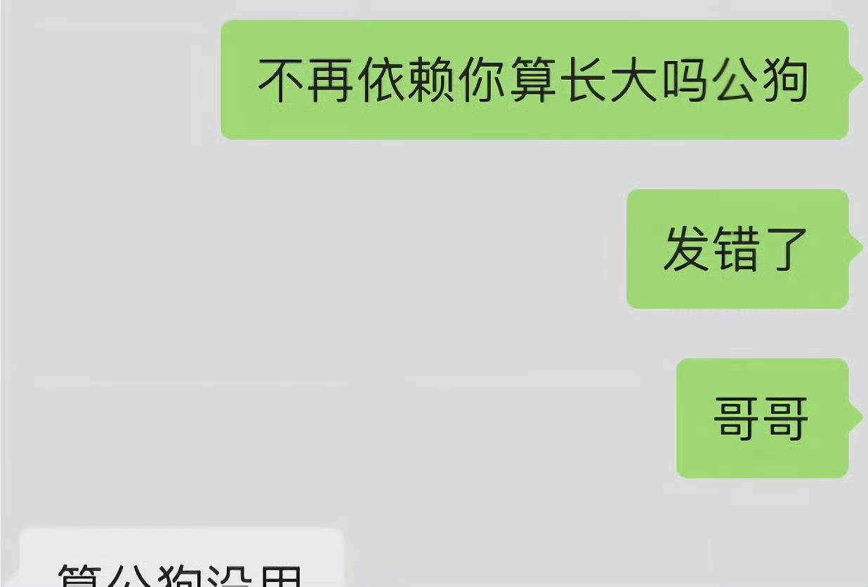 捡到了雷朋逆爱期间手机聊天记录。 
