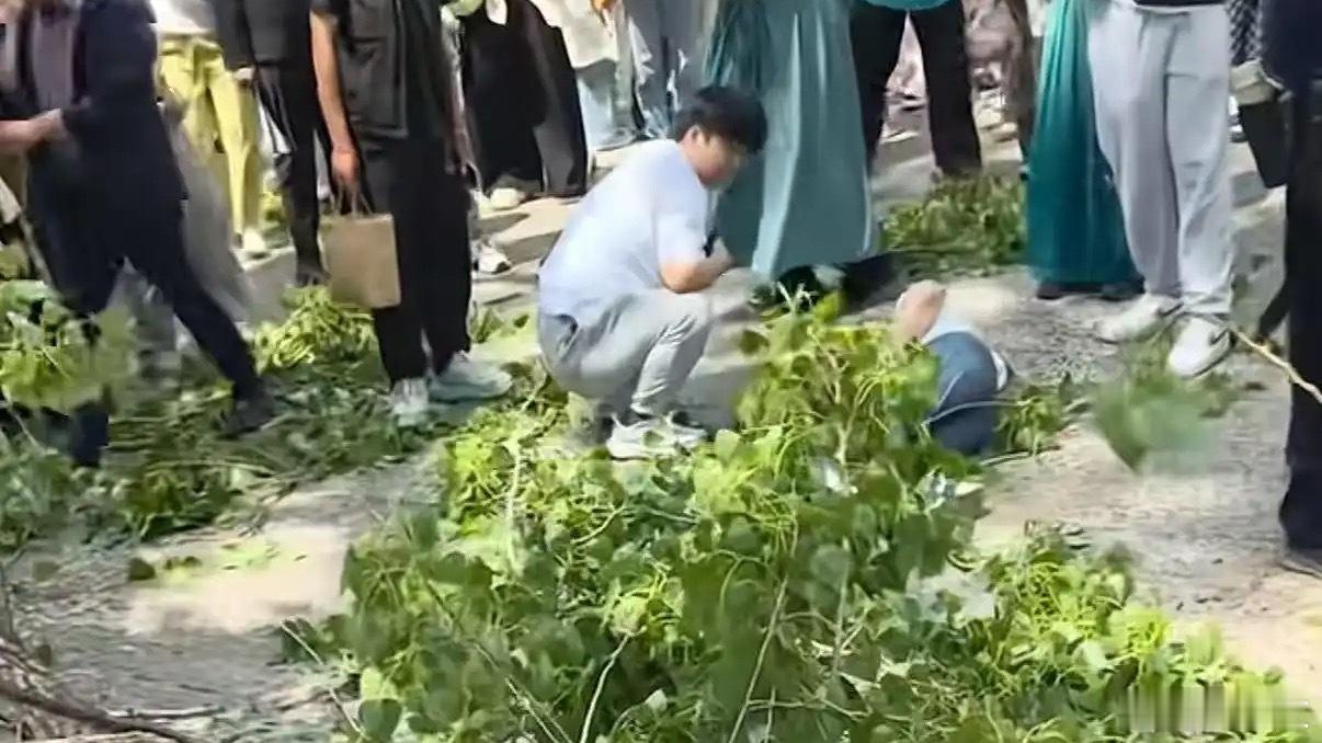 官方回应万岁山树断裂砸倒多名游客 2026年4月18日，河南开封万岁山武侠城景区