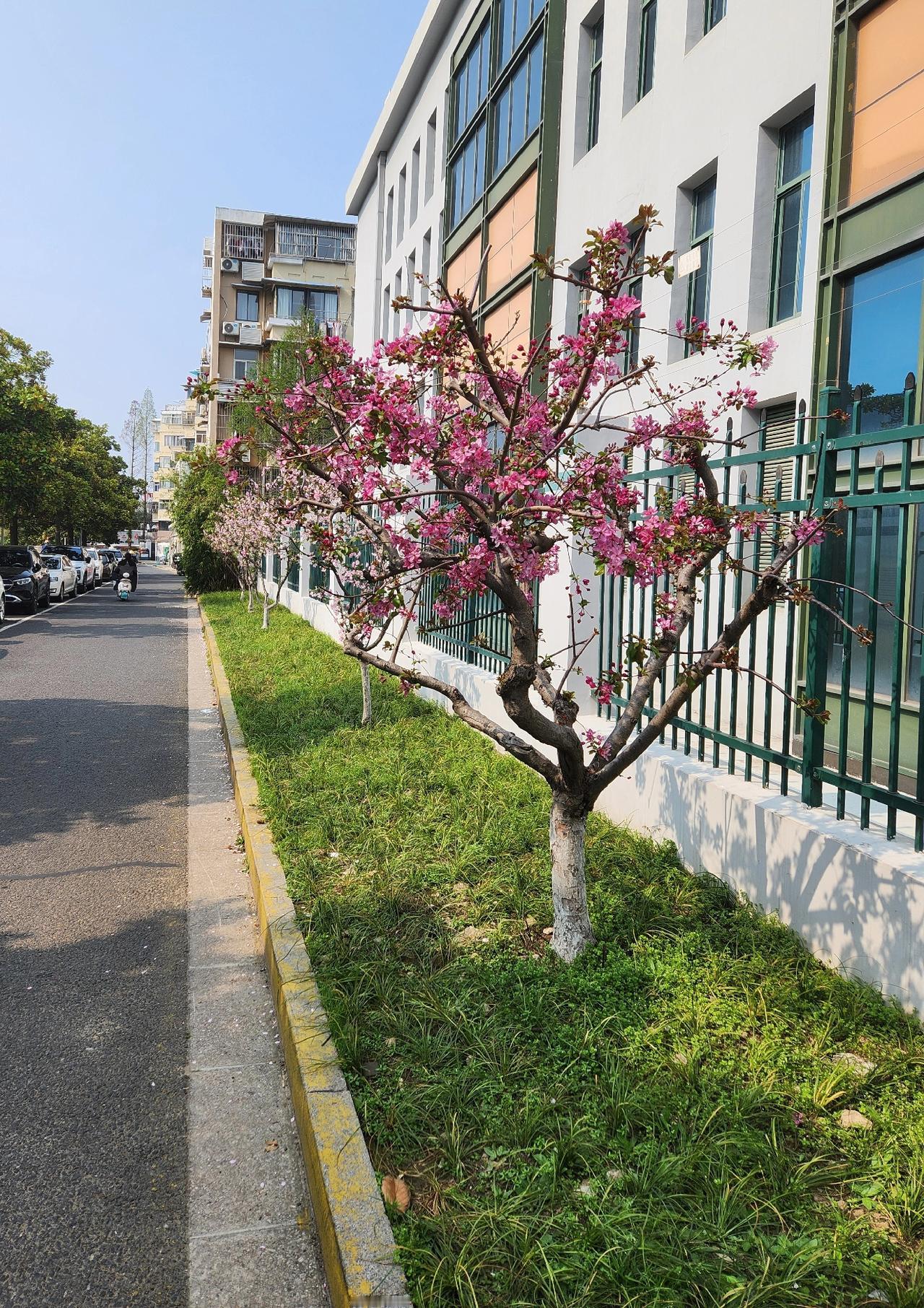 晚上睡不着啊，怎么办？
不是不困，困的头疼，但睡不着，怎么办？