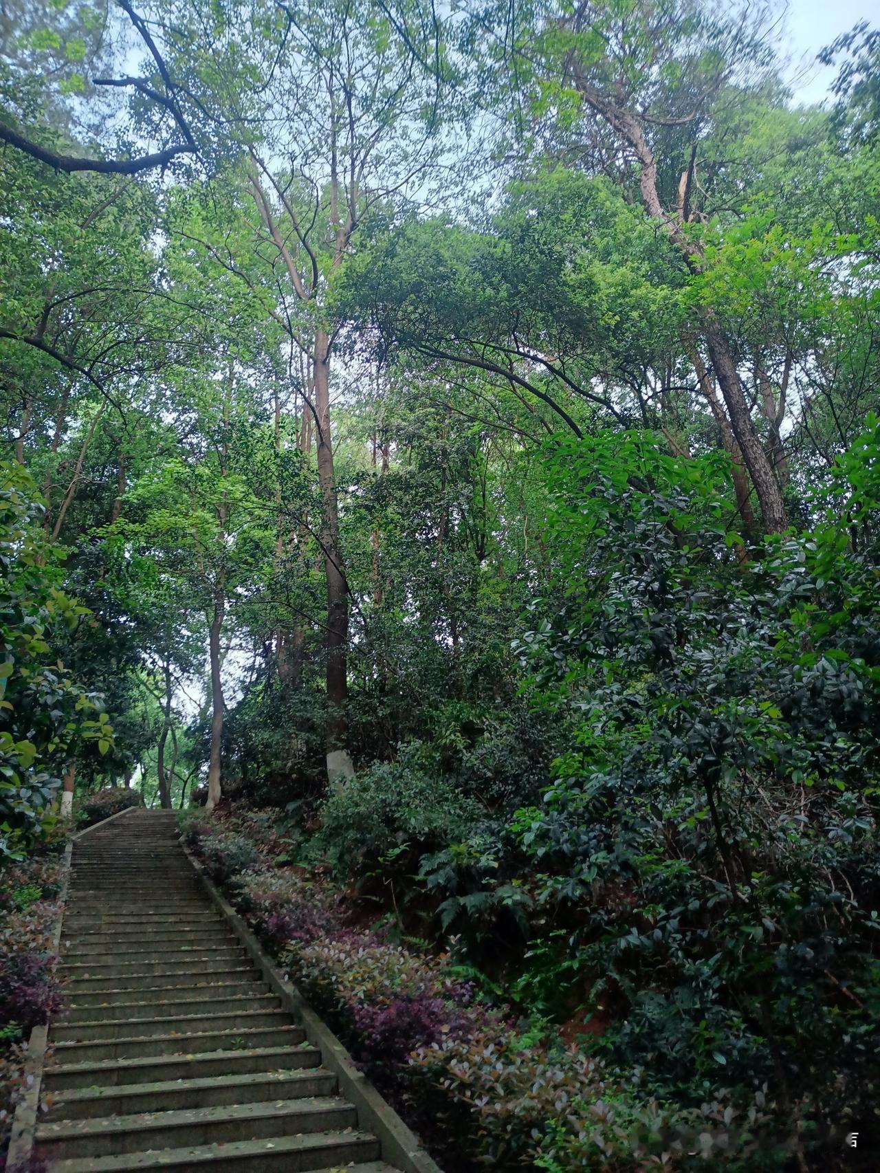 针对现在的股市行情，股民一定要学会仓位管理才行！

没错，股市量化厉害了，股民抱