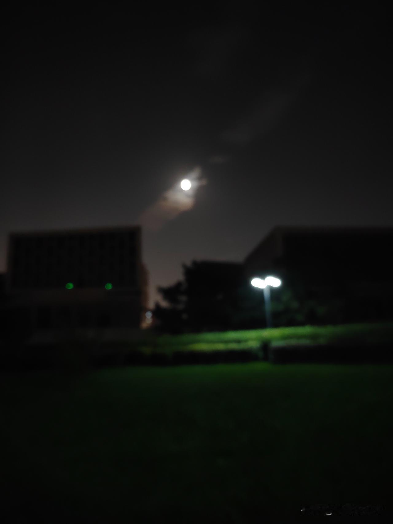 秋日生活打卡季十五月亮十六圆