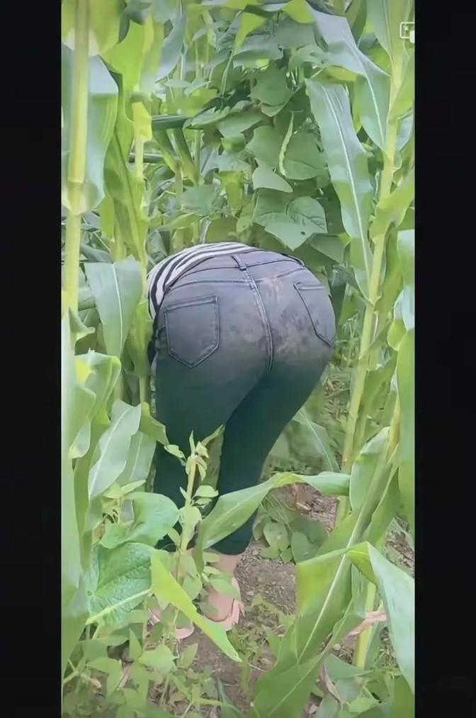 最近网上突然火了一种视频，就是拍一些年轻妹子或者是少妇的背影，这些视频里的人大多