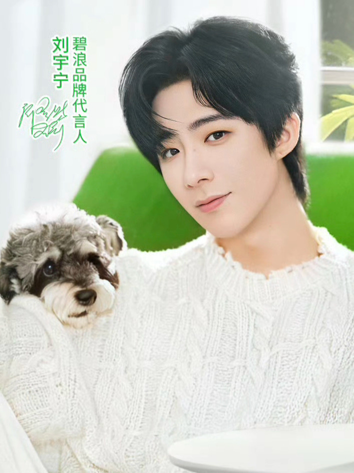 刘宇宁的高招在京东超市11.11摩登兄弟[超话] ​​​