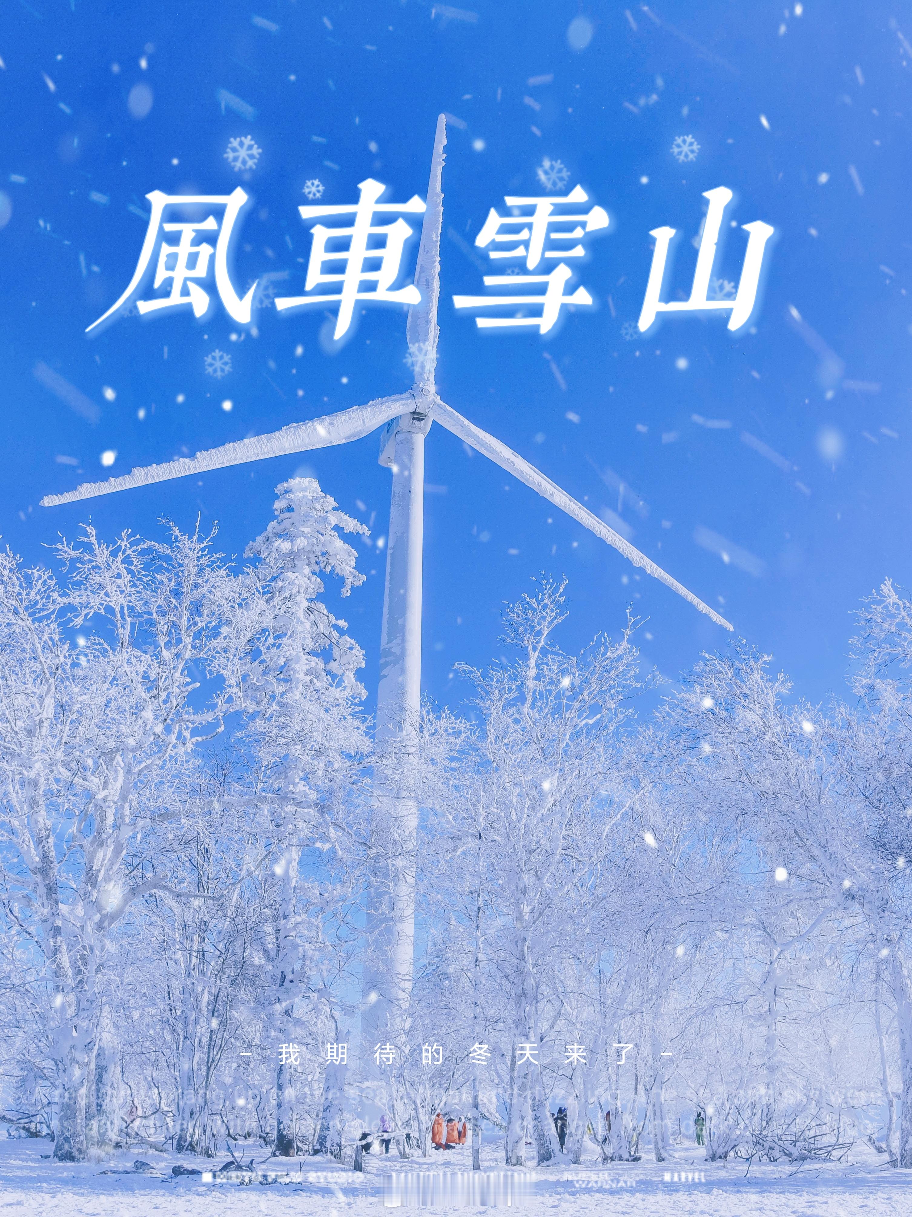 ❄️进入12月，想去东北的心达到了巅峰！而东北人民也拿出了最大的诚意来迎接南方的