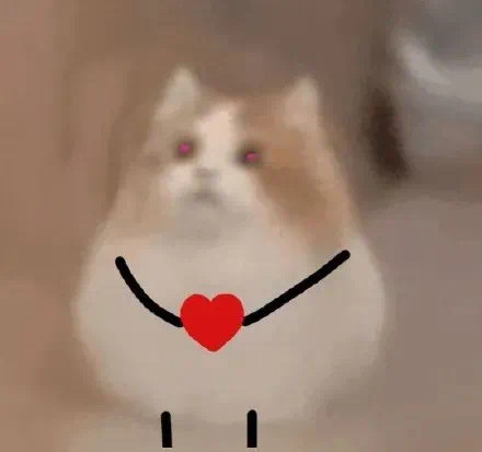 小猫表情包 ​​​