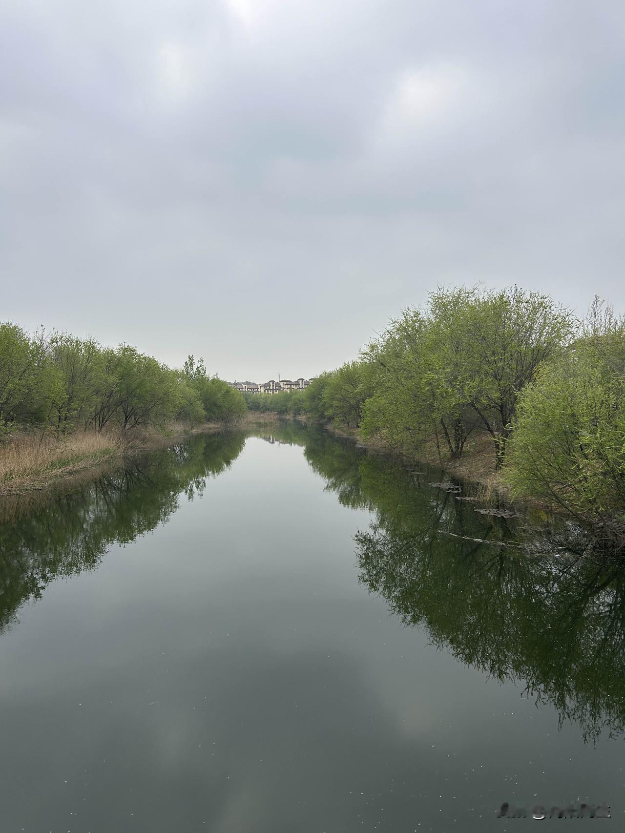 昨天晚上和小闺女一起读英语绘本，我把书盒子拿来让她忙抽，这是我和她在一起学习的乐