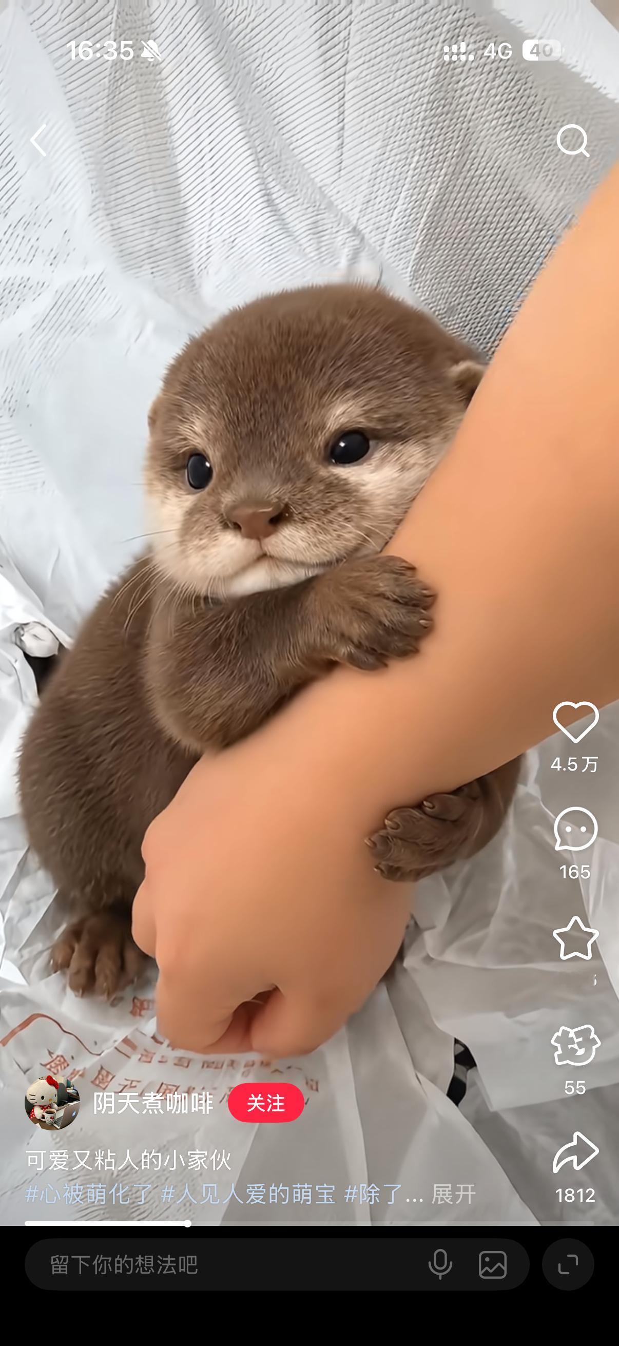 金艺琳 