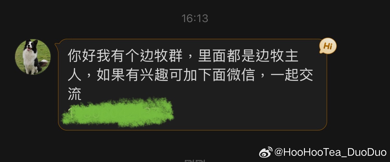 所有人 把我的认证改成萌宠博主。 