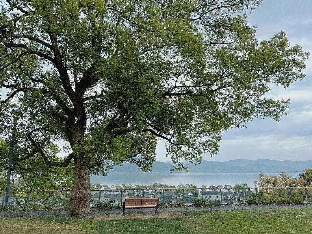 不管你信不信，明年，也就是2027年，预计会有30件大事发生。
1、孩子上学报名