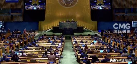 如果说以色列是狗，那阿根廷连狗都不如。如果说以色列是吃美国用肉喂着的狗，阿根廷顶