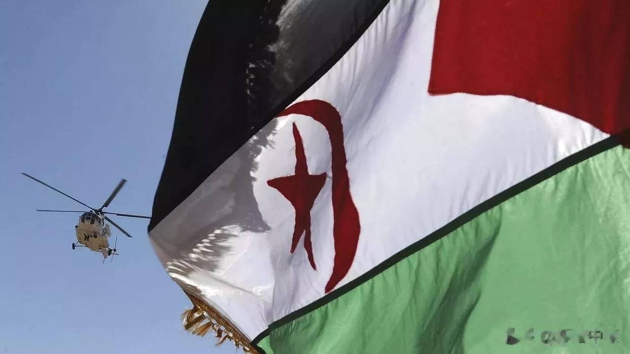 绍伊古称俄罗斯和阿尔及利亚不会屈服于西方压力

来源:俄罗斯卫星通讯社

俄罗斯