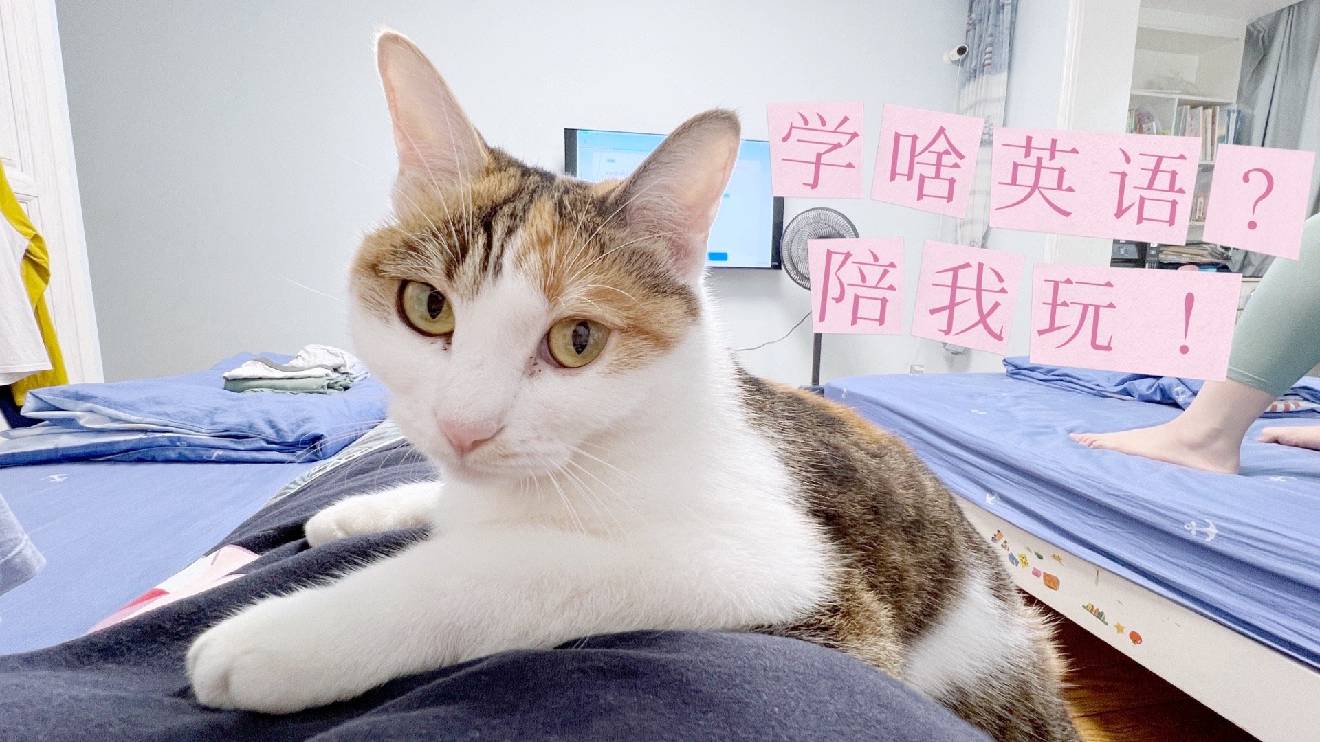 [白眼] ​​​