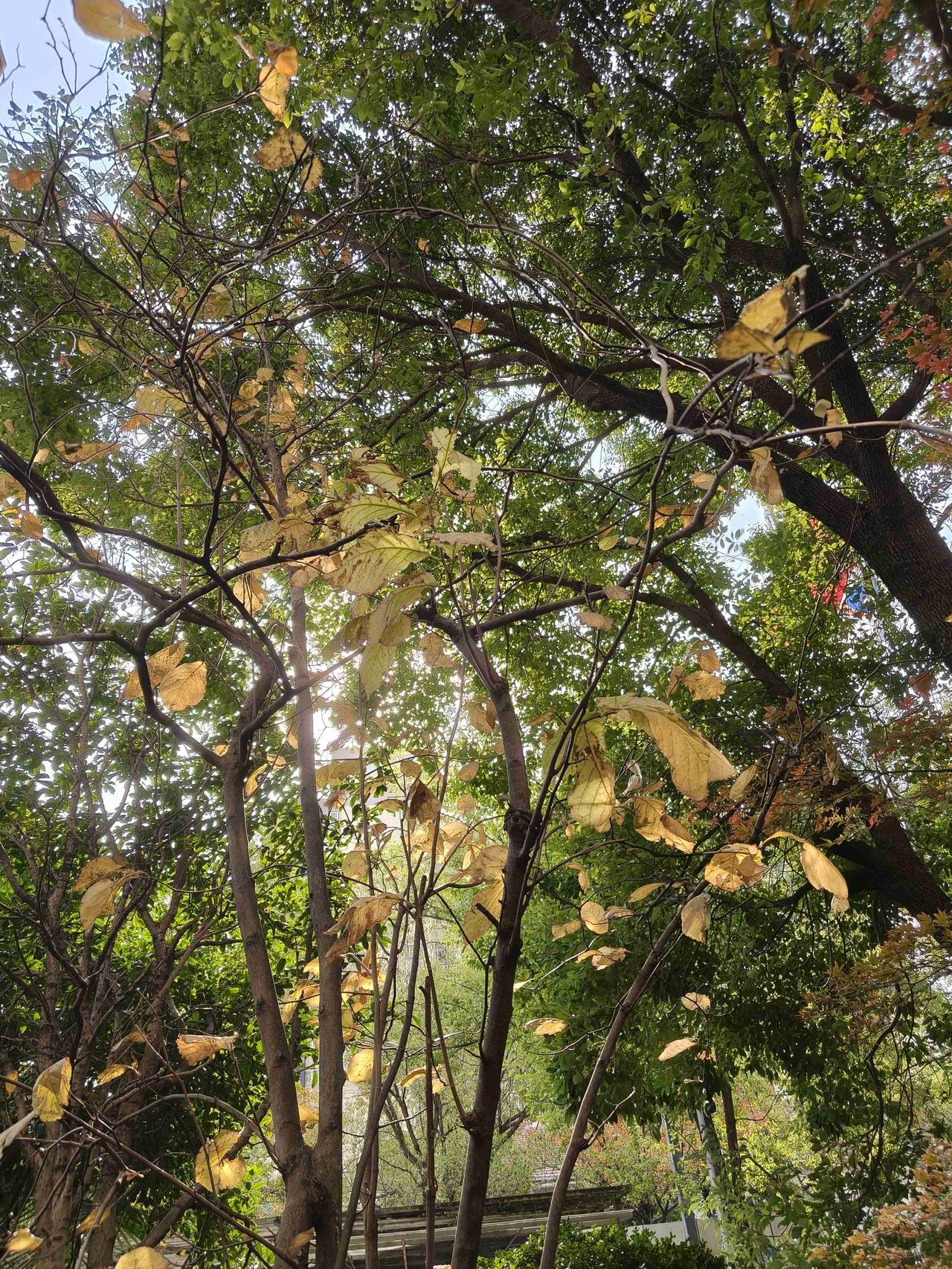 我的今日状态：💪🏻充满干劲
我这里的天气：🌤️多云