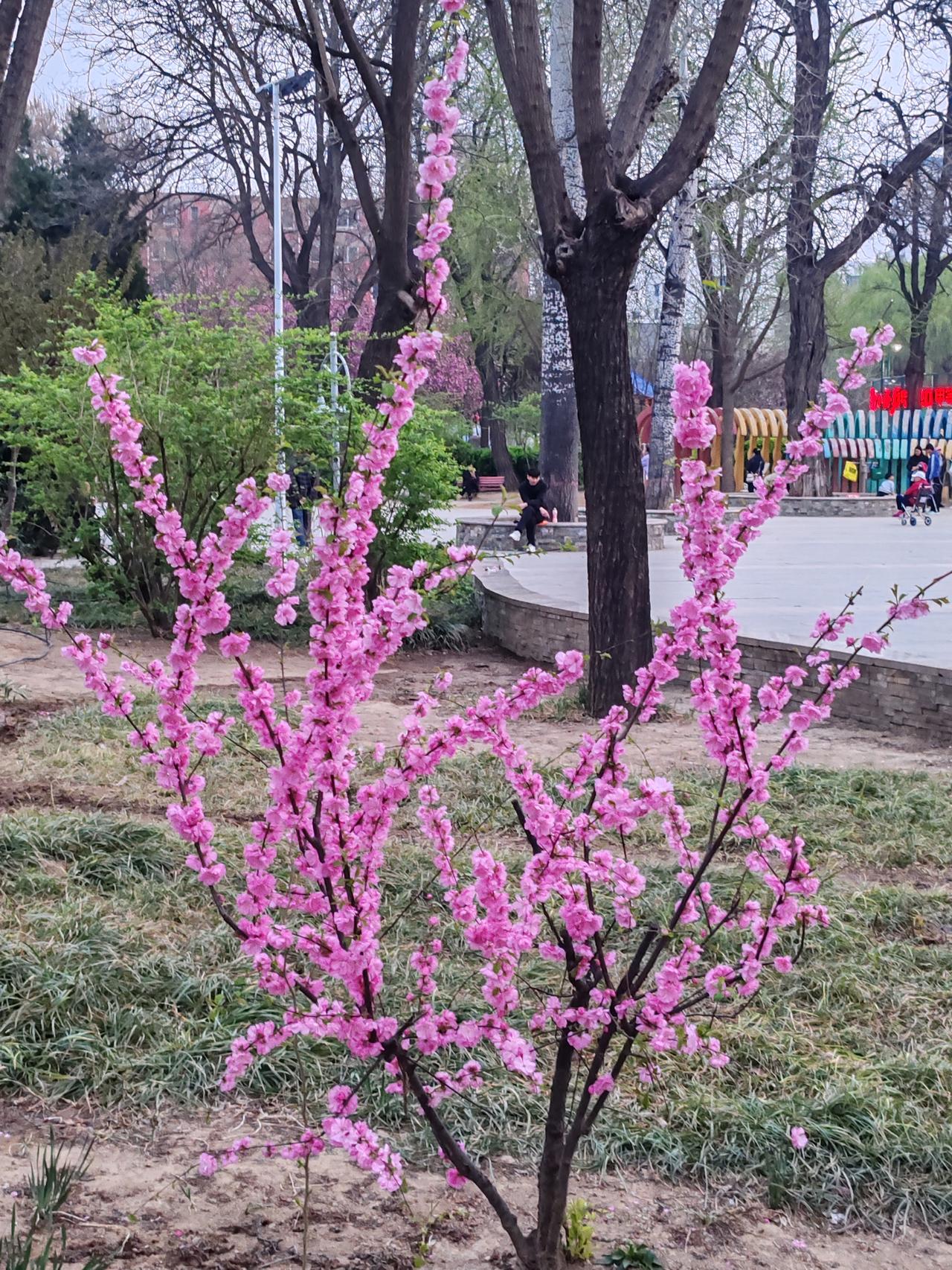 年薪20万，一个月也就16667元。比你丈夫每月的3900元，多12767元。月