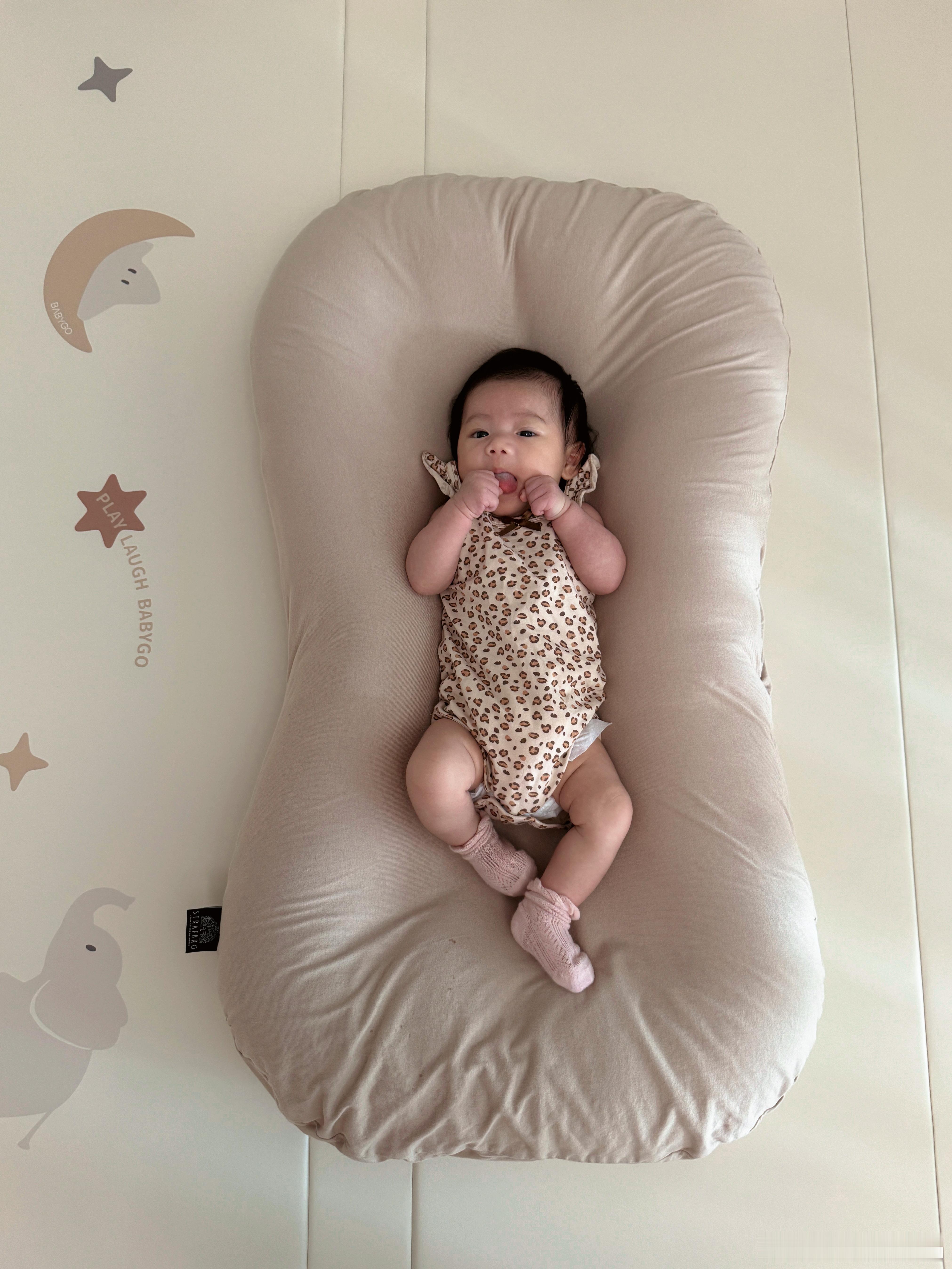 又是好久没来 有点懒的玩微博了哈哈哈哈手机相册已被幼崽占满 自己照片含量告急 该