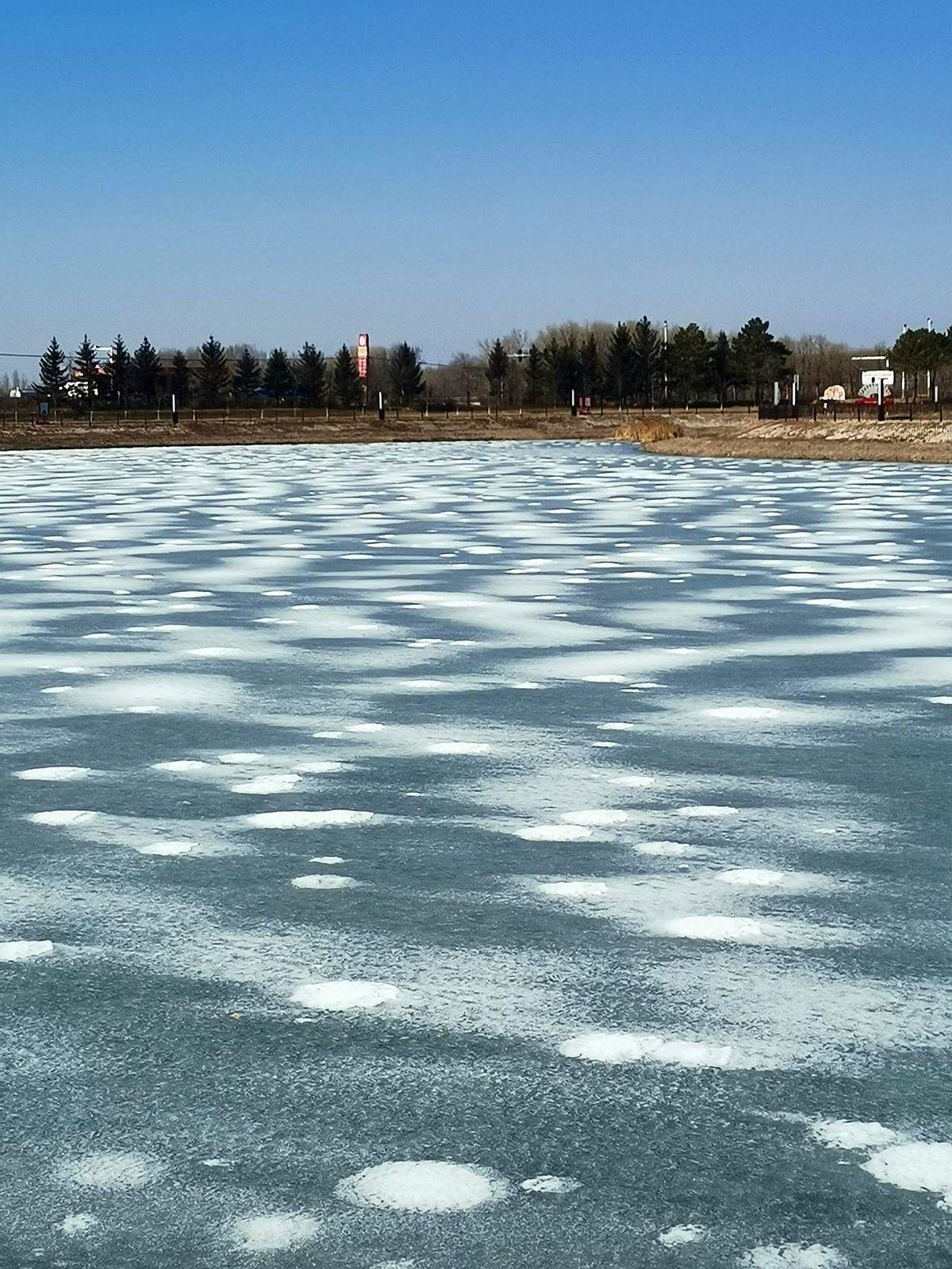 看着莎莎世界杯三连冠，全网都在封神，我却只想抱抱这个二十出头的姑娘。
赛后她那个