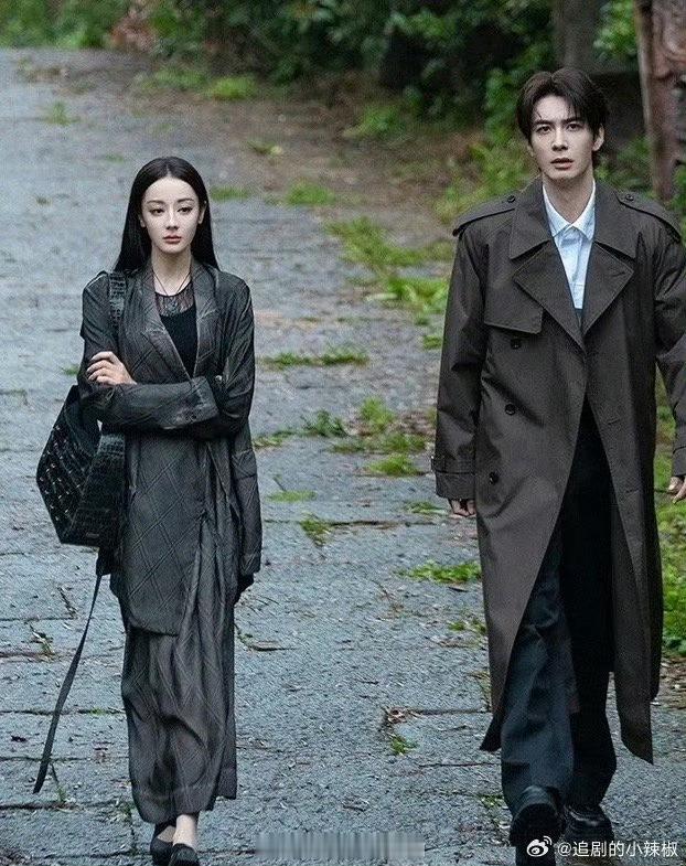 迪丽热巴、陈星旭主演的电视剧《枭起青壤》预告来了之后，从网友的评价看，迪丽热巴这