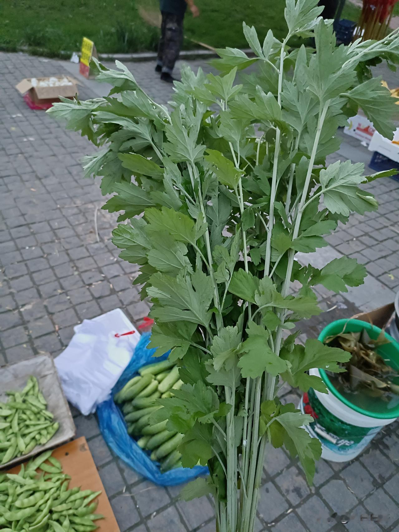 喜欢吃老式粽子
端午节，采艾蒿，吃粽子，赛龙舟。
现在的粽子样式多，有蛋黄粽子、